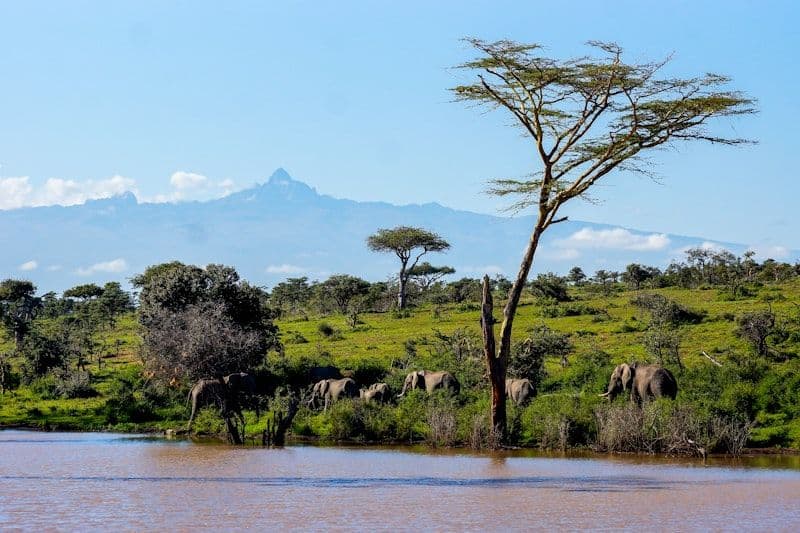 Alpine lake surrounded by green forest with snow-capped peaks beyond — Chogoria route, Mount Kenya