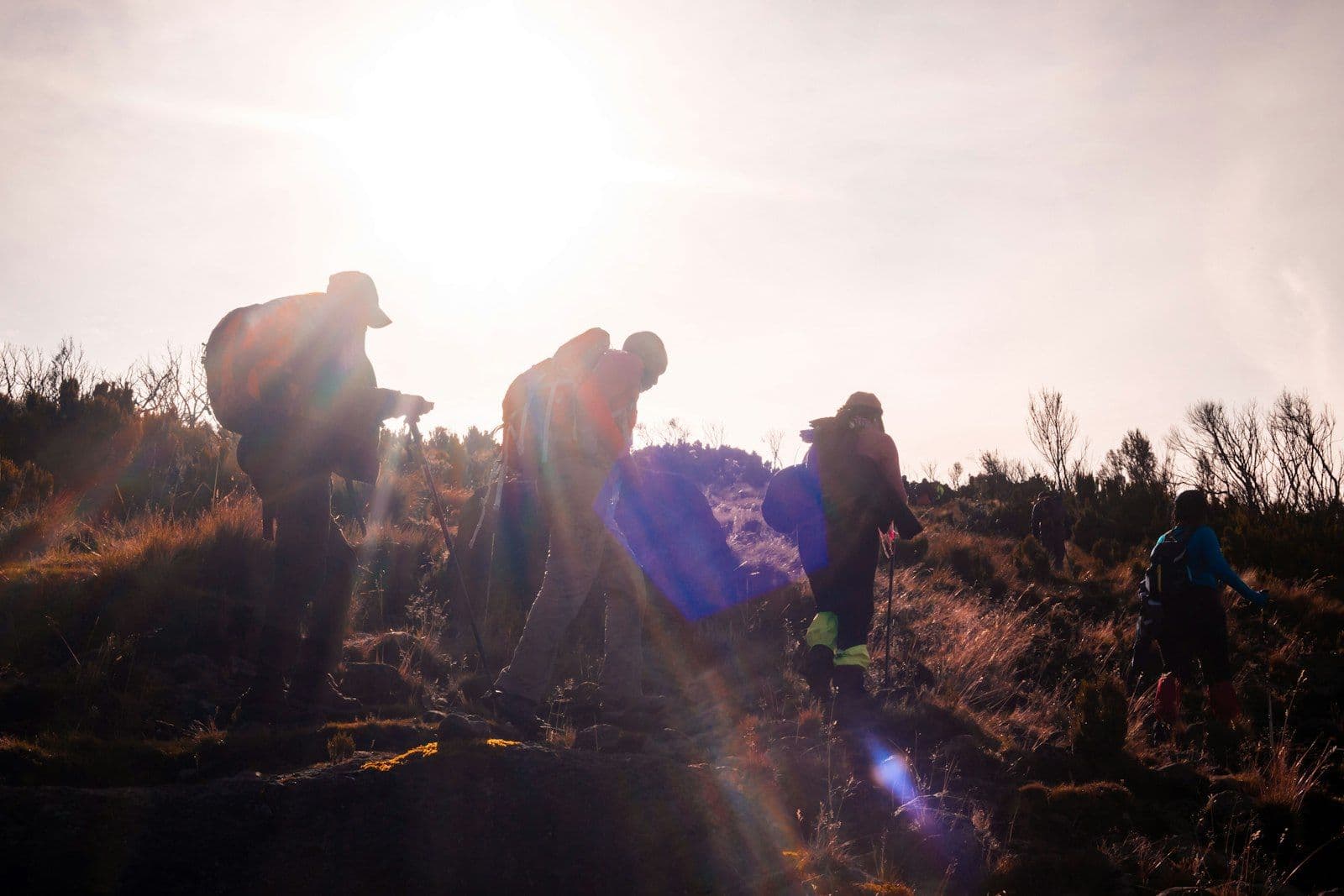 Group of trekkers with backpacks on a mountain trail heading for the summit