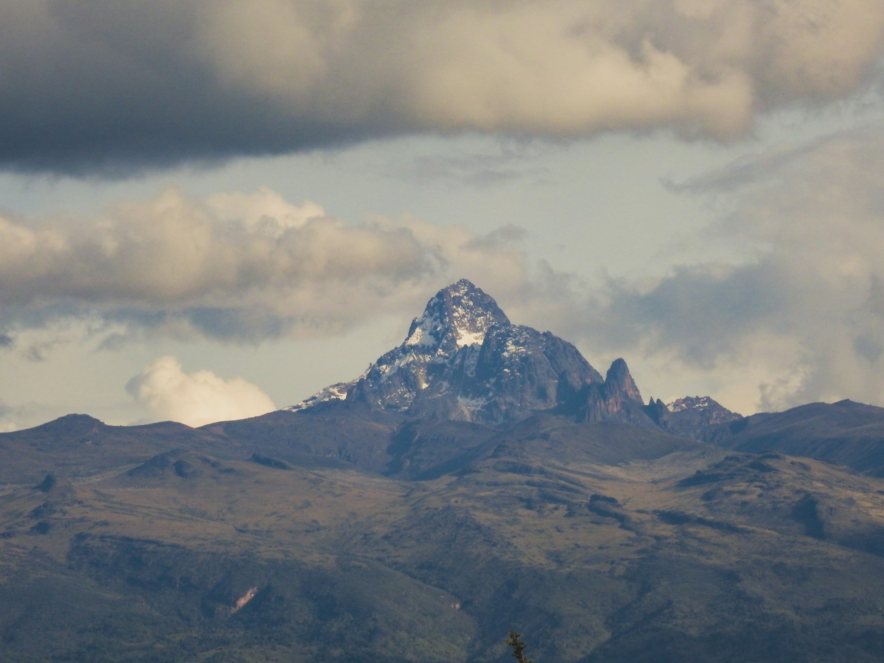Snow-capped peaks of Mount Kenya rising above the highland moorland