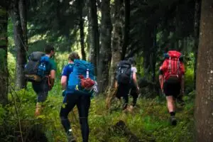 Best Mount Kenya routes
